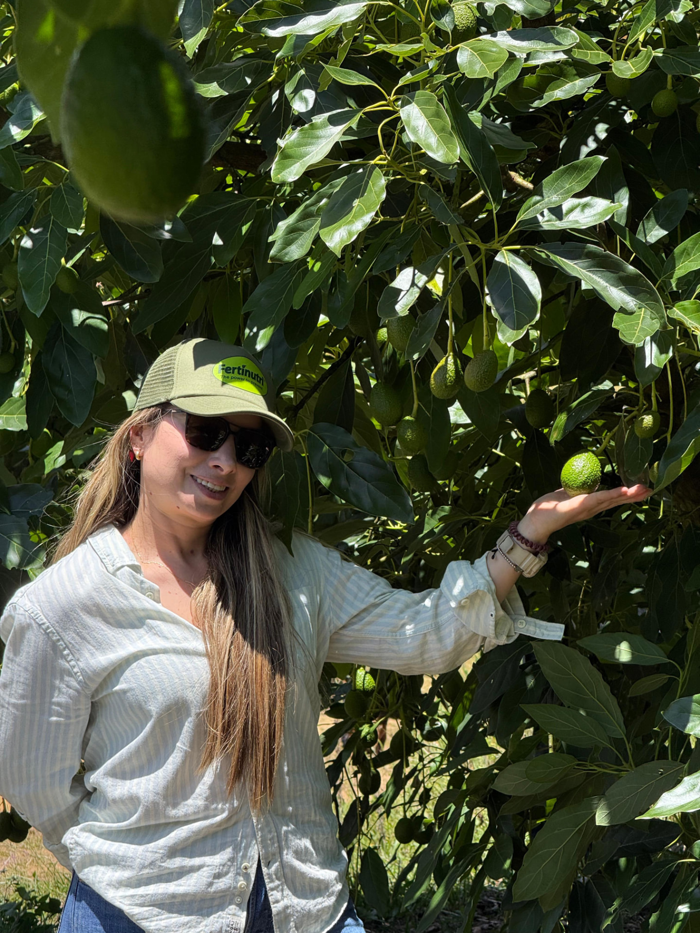 Ingeniera agrónoma de Fertinutri revisando el llenado del fruto