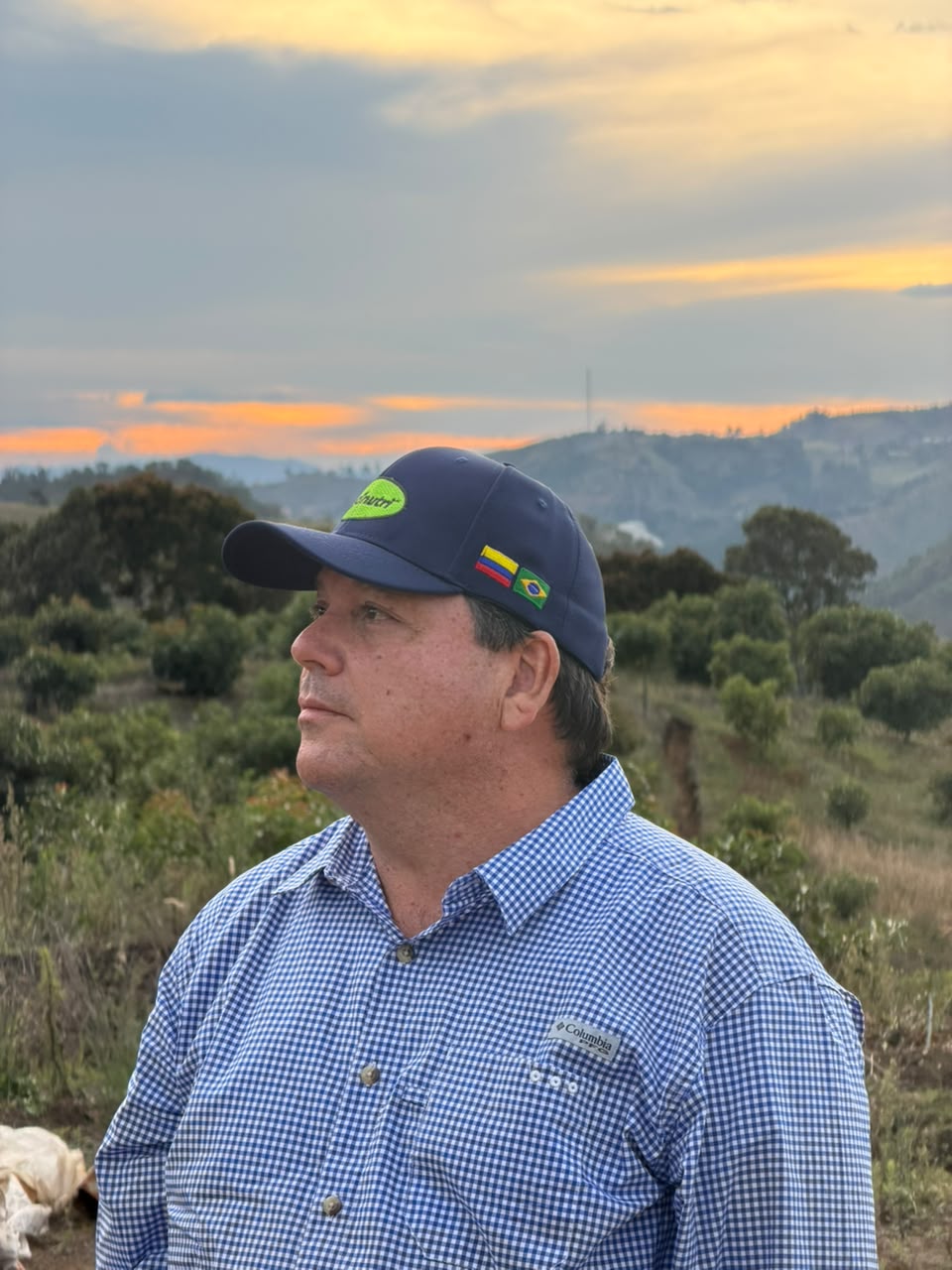Productor de aguacate observando su lote al atardecer